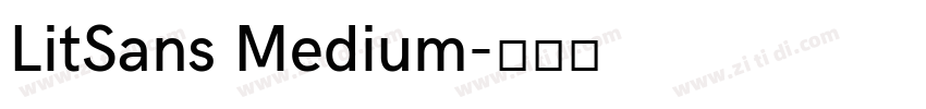LitSans Medium字体转换